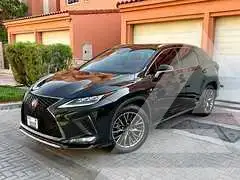 2020 Lexus RX