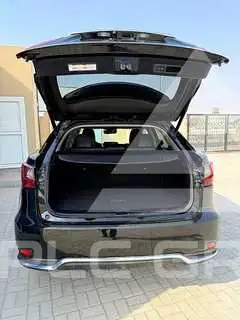 2020 Lexus RX