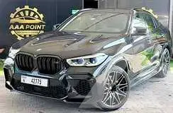 2021 BMW X6