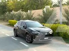 2021 Lexus UX