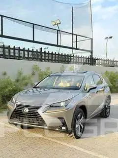 2021 Lexus NX