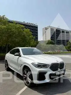 2022 BMW X6