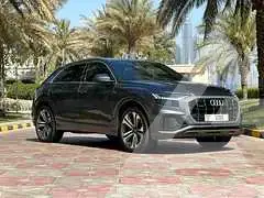 2022 Audi Q8