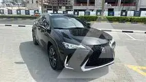 2022 Lexus UX