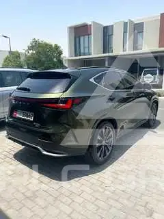 2022 Lexus NX