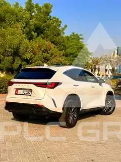 2022 Lexus NX