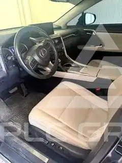 2022 Lexus RX