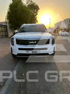 2022 KIA Telluride