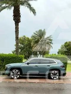 2023 BMW XM
