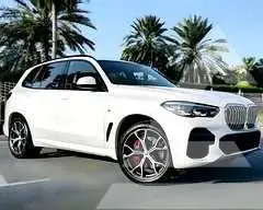 2023 BMW X5