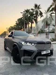 2023 BMW X6