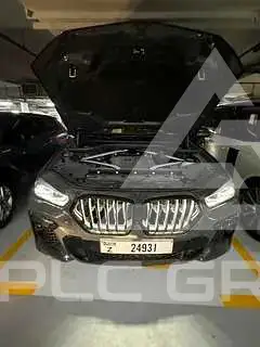 2023 BMW X6