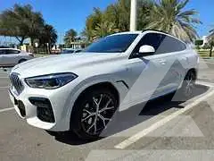 2023 BMW X6