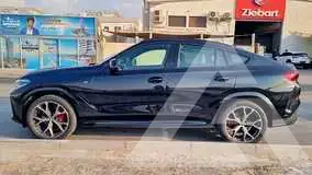 2023 BMW X6