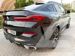 2023 BMW X6