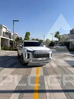 2023 Hyundai Palisade