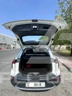 2023 JAC J4