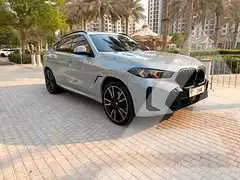 2024 BMW X6