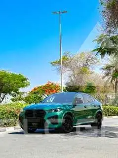 2024 BMW X6