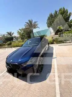 2024 BMW X6