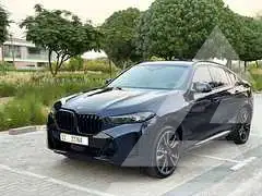 2024 BMW X6