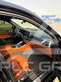 2024 BMW X6