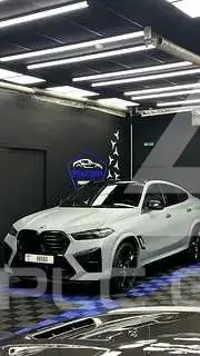 2024 BMW X6