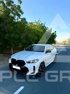 2024 BMW X6