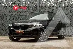 2024 BMW X6