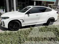 2024 BMW X6