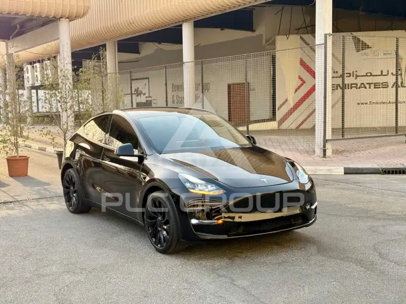 2024 Tesla Model Y