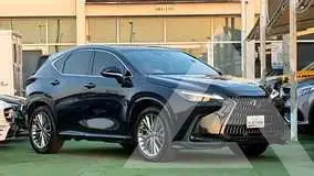 2024 Lexus NX