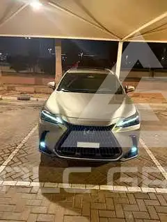 2024 Lexus NX