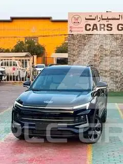 2024 JAC J4