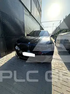 2025 BMW X6
