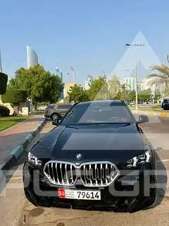 2025 BMW X6