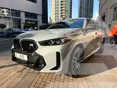 2025 BMW X6