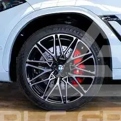 2025 BMW X6