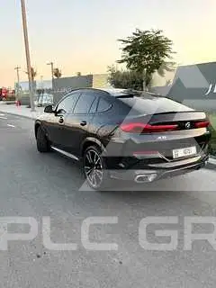 2025 BMW X6