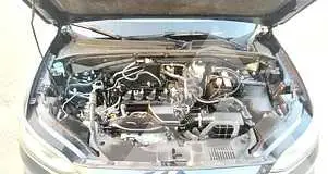 2025 Honda 