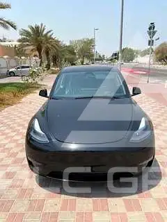 2025 Tesla Model Y