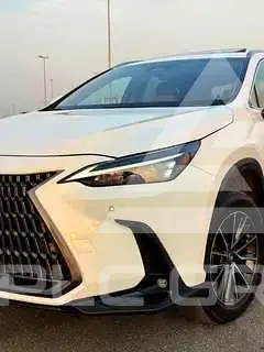 2025 Lexus NX