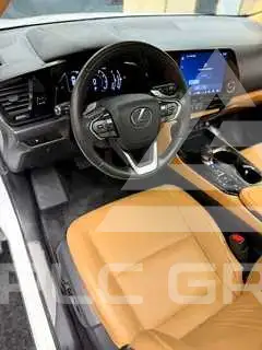 2025 Lexus NX