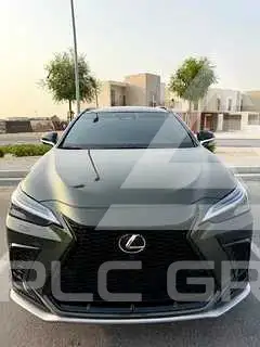2025 Lexus NX