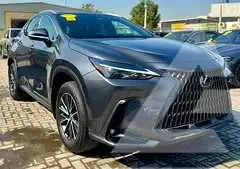 2025 Lexus NX