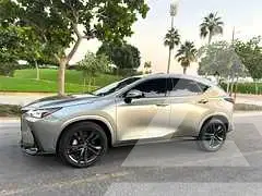2025 Lexus NX