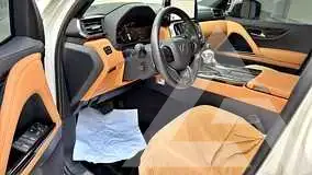 2025 Lexus LX