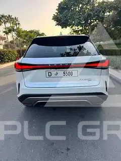 2025 Lexus RX