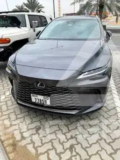 2025 Lexus RX