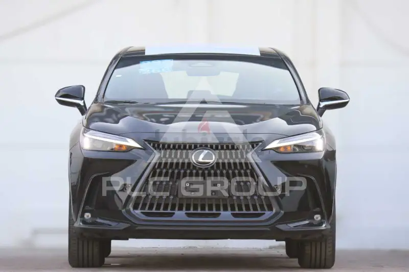 2025 Lexus NX